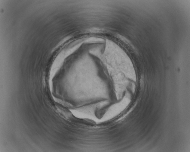 X0000081441209200702092216