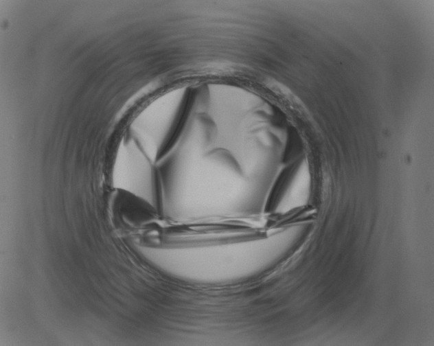X0000081441210200702092216