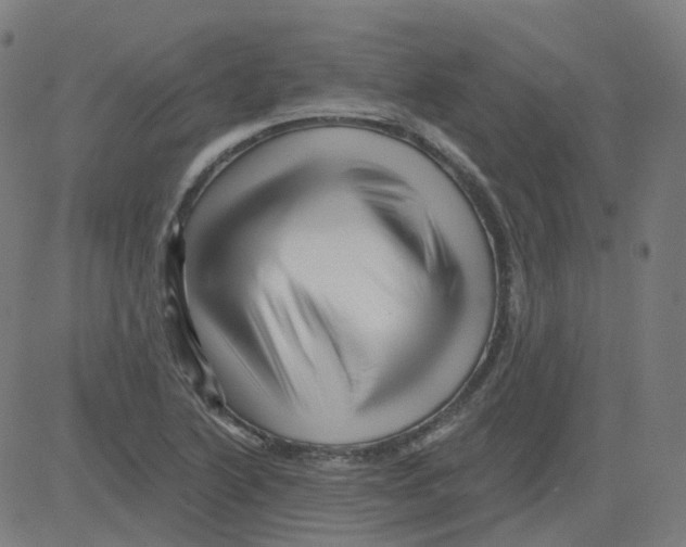 X0000081441222200702092216