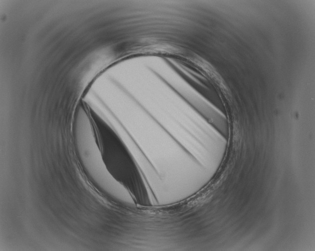 X0000081441234200702092216