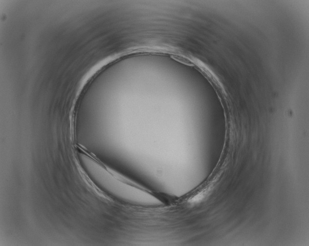 X0000081441238200702092217