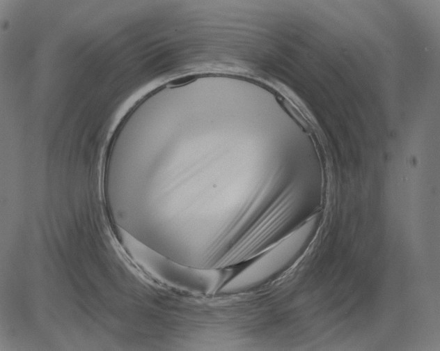 X0000081441246200702092217