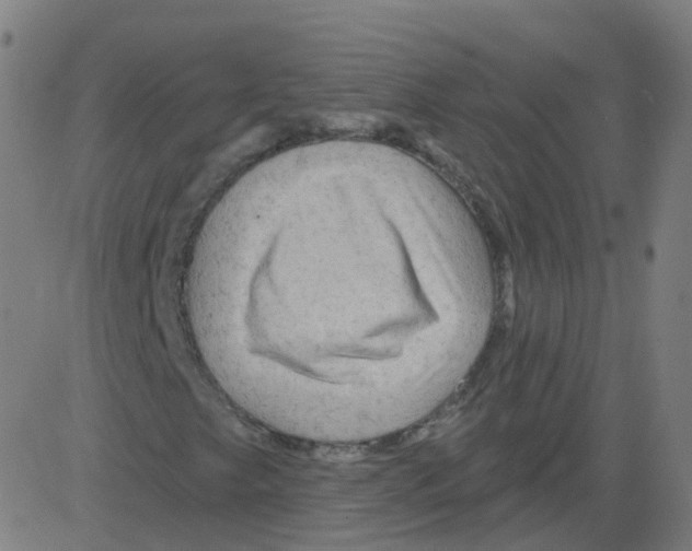 X0000081441249200702092216
