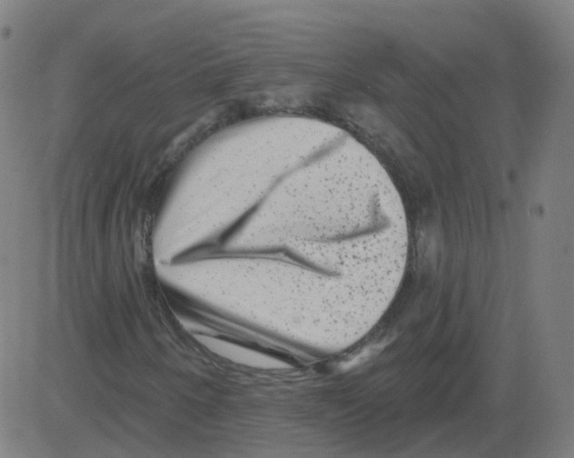 X0000081441250200702092216