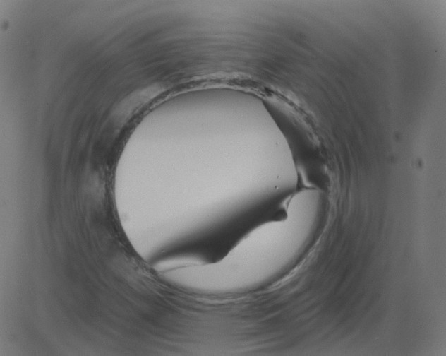 X0000081441257200702092216