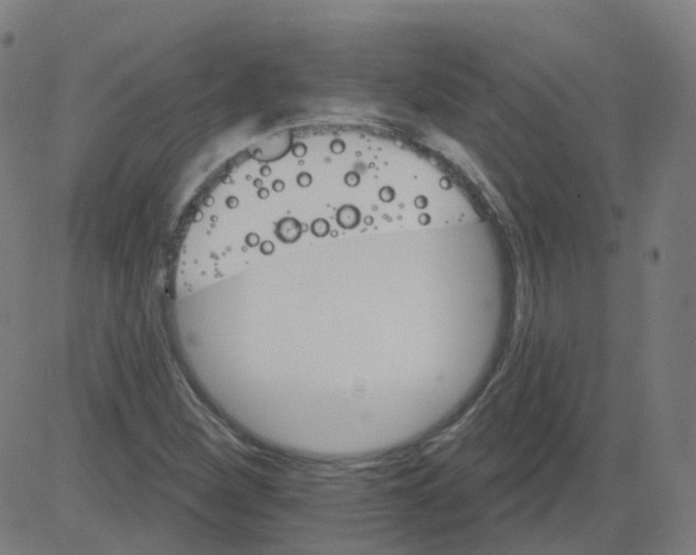 X0000081441260200702092216