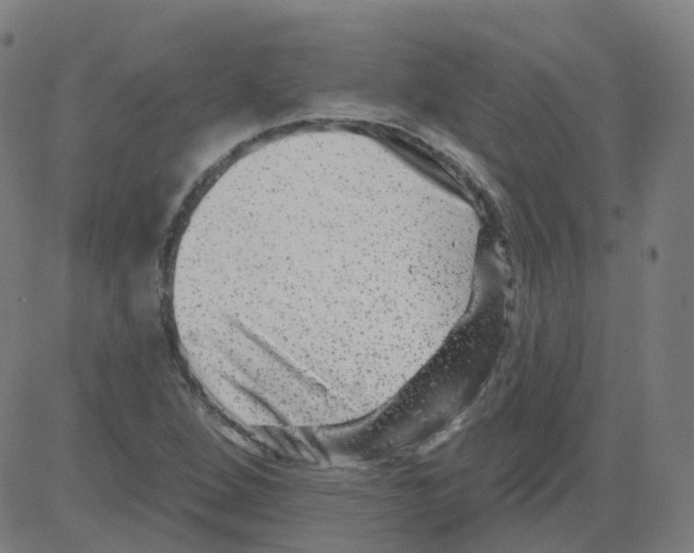 X0000081441264200702092216