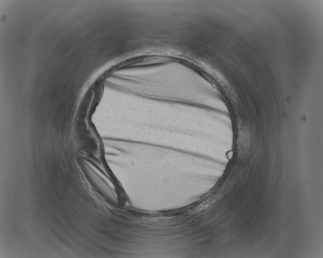 X0000081441272200702092216