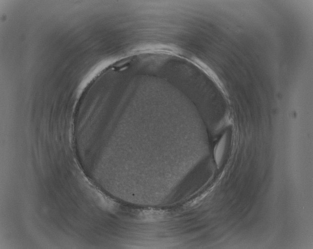 X0000081441277200702092215
