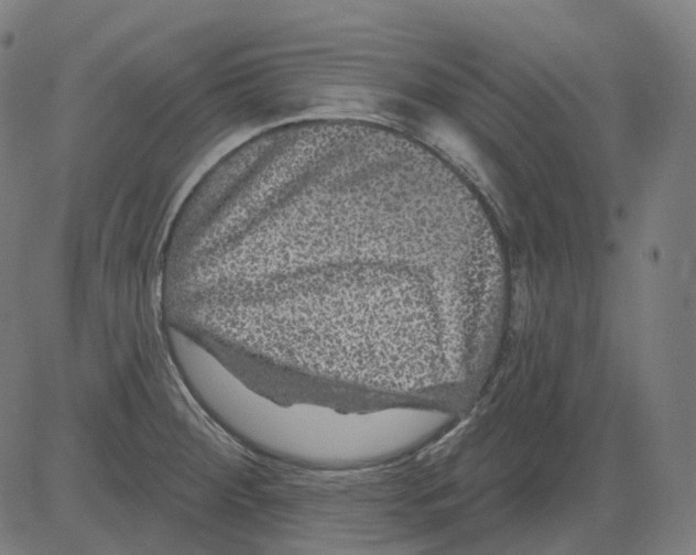 X0000081441284200702092215