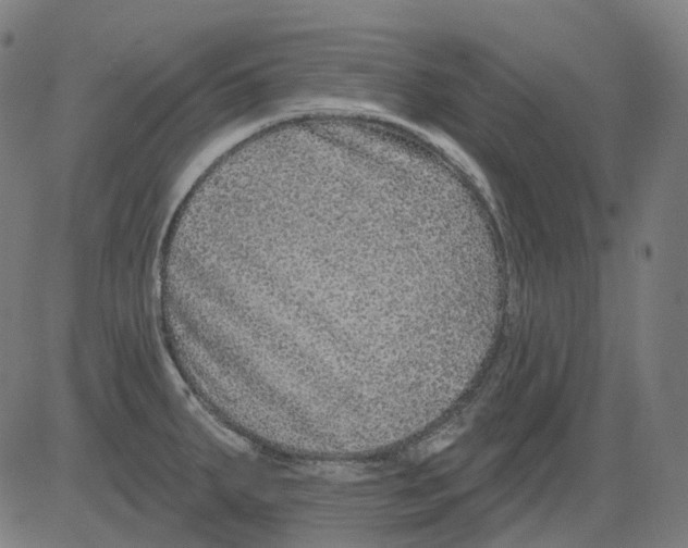 X0000081441287200702092215