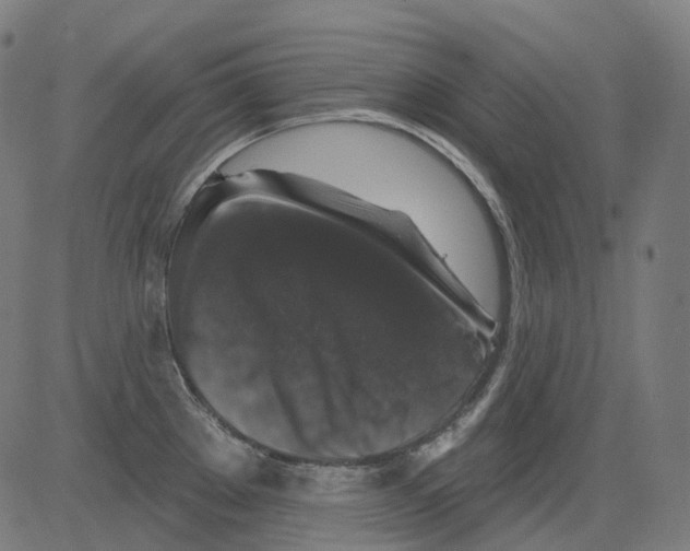 X0000081441289200702092215