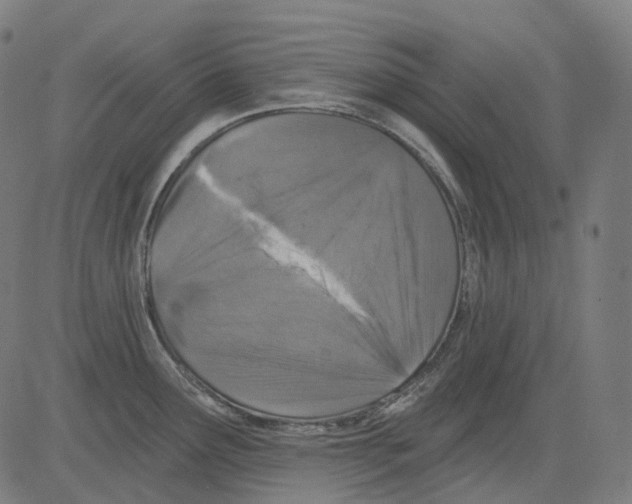 X0000081441291200702092215