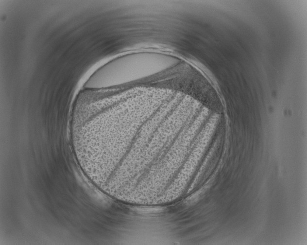 X0000081441296200702092215