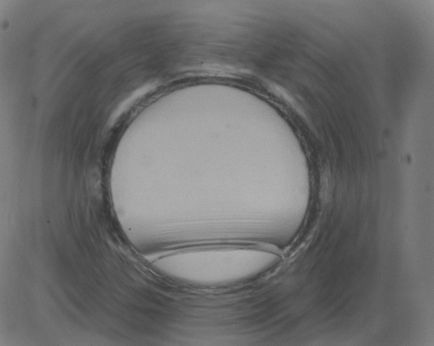 X0000081441307200702092215