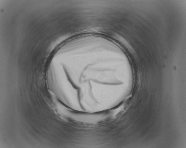 X0000081441308200702092215