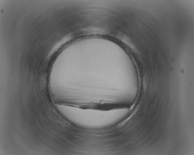X0000081441309200702092215