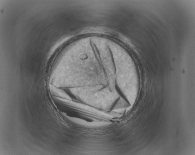 X0000081441312200702092215