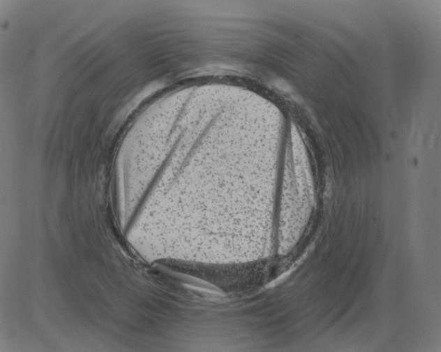 X0000081441313200702092215