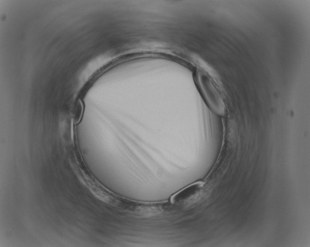 X0000081441320200702092215