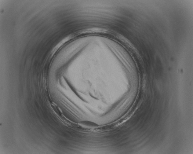 X0000081441321200702092215