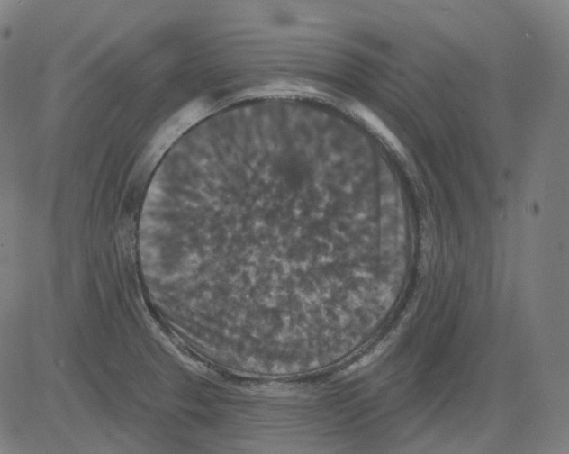 X0000081441329200702092215