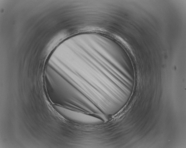 X0000081441330200702092215