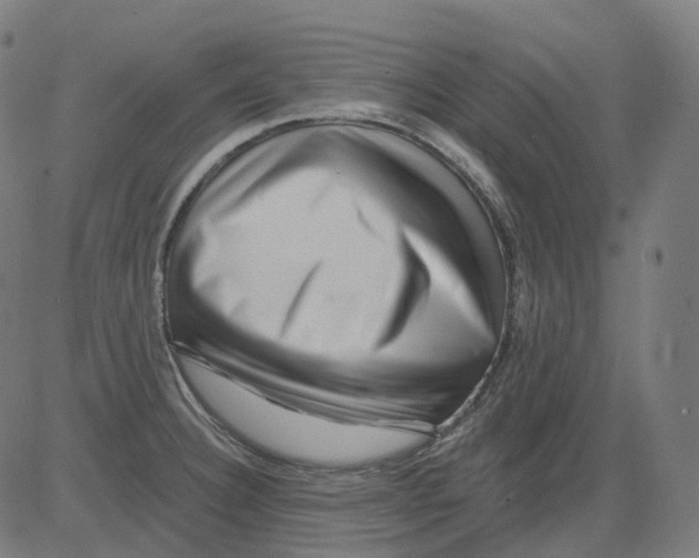 X0000081441332200702092215