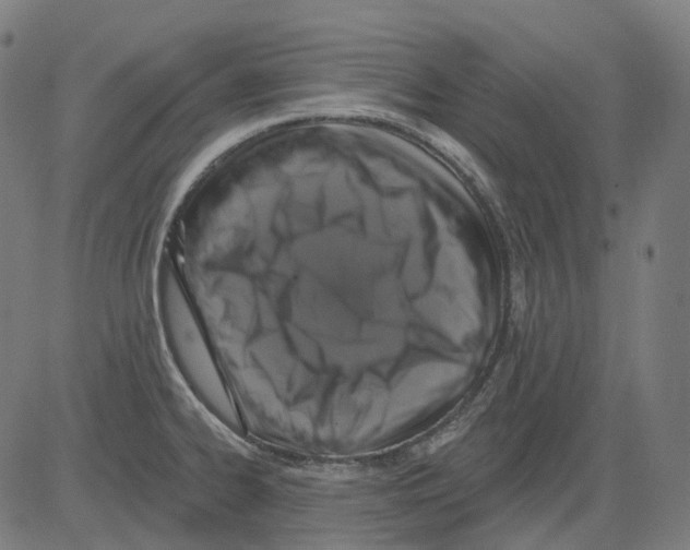 X0000081441334200702092215