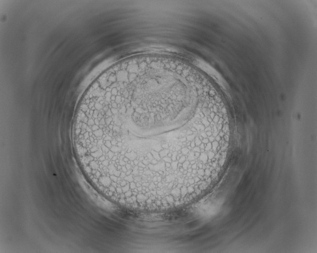 X0000081441338200702092215