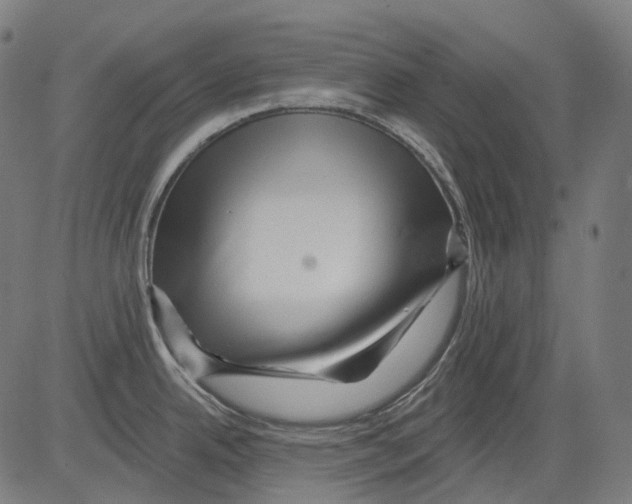 X0000081441342200702092215