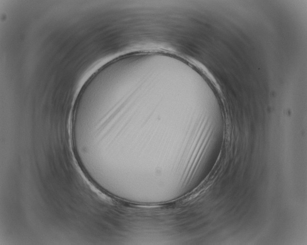X0000081441343200702092215