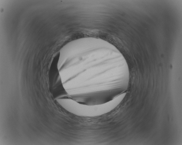 X0000081441345200702092214