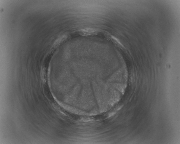 X0000081441346200702092214