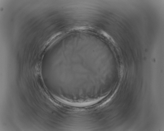 X0000081441353200702092214