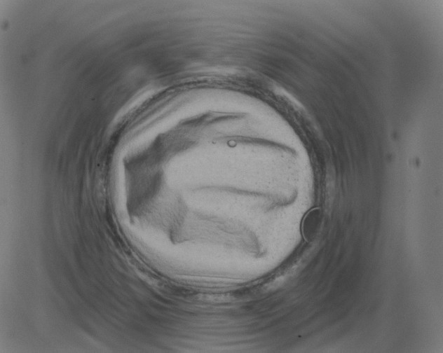 X0000081441354200702092214