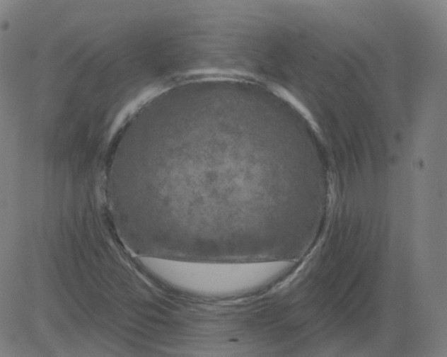 X0000081441357200702092214
