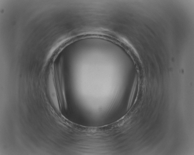 X0000081441360200702092214
