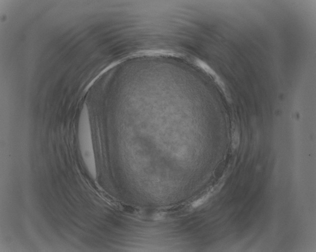 X0000081441361200702092214