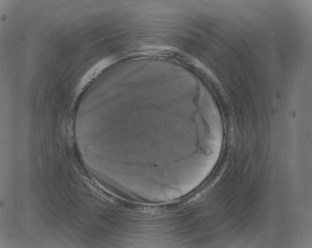 X0000081441362200702092214