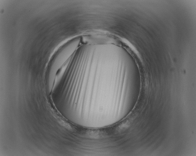 X0000081441364200702092214