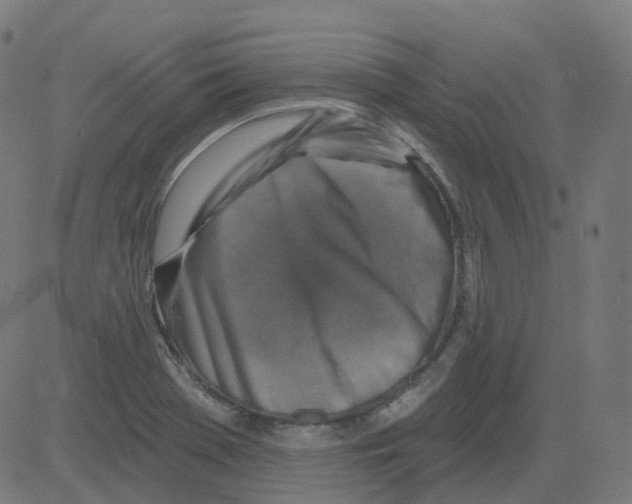 X0000081441369200702092214