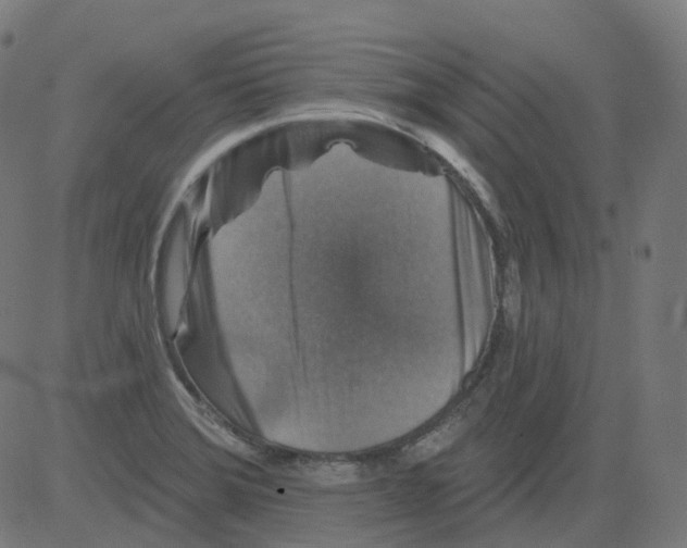 X0000081441372200702092214