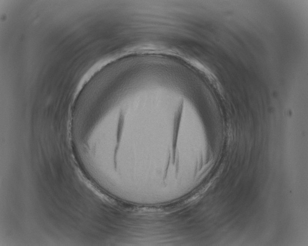 X0000081441374200702092214