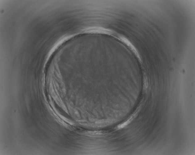 X0000081441376200702092214