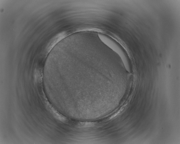 X0000081441377200702092214
