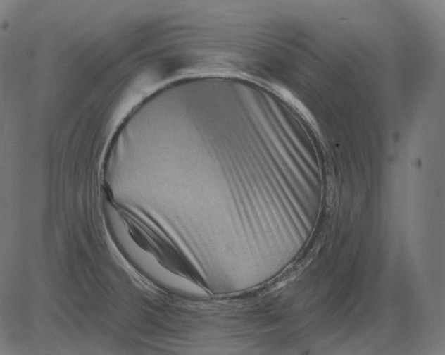 X0000081441380200702092214