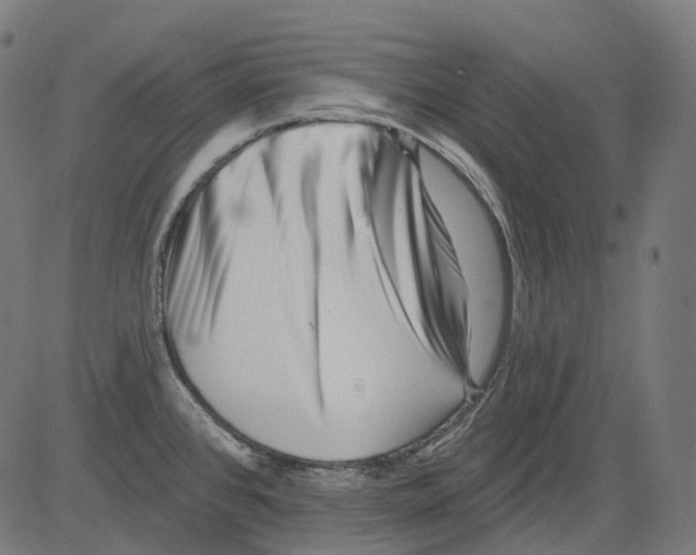 X0000081441384200702092214