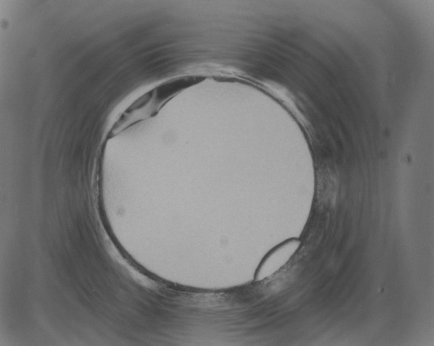 X0000081441387200702092214