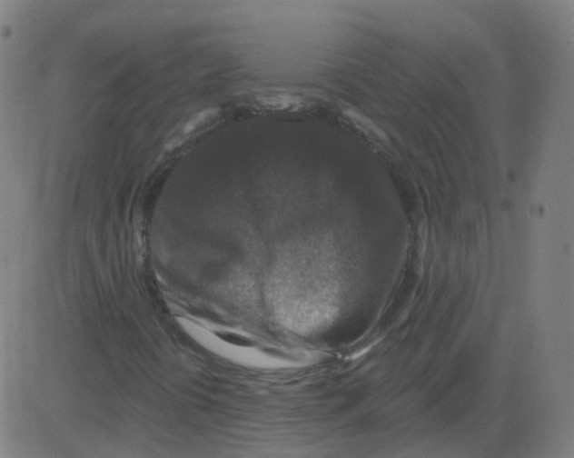 X0000081441394200702092213